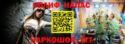 трава Абакан